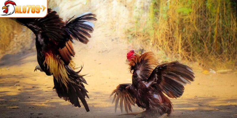 An toàn mọi dữ liệu cá nhân trên hệ thống