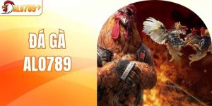 Đá Gà ALO789 - Điểm Đến Tập Trung Những Chiến Kê Tài Ba