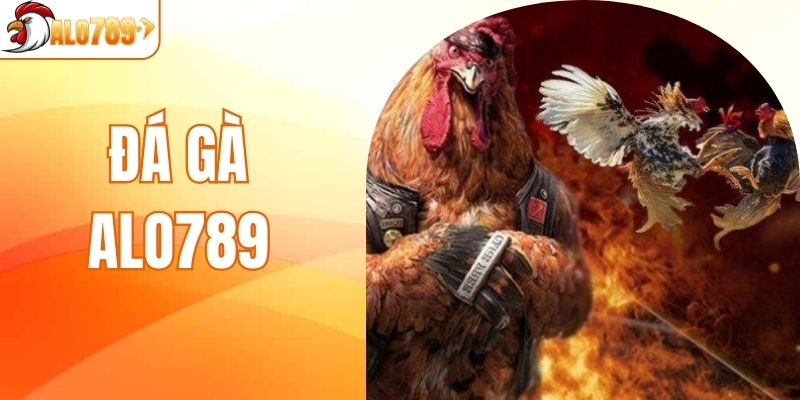 Đá Gà ALO789 - Điểm Đến Tập Trung Những Chiến Kê Tài Ba