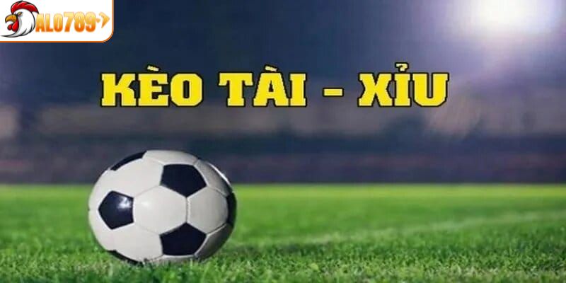 Đặt tiền ngay với hình thức tài xỉu hấp dẫn