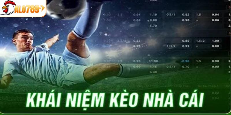 Giới thiệu chung về cách hiểu kèo nhà cái