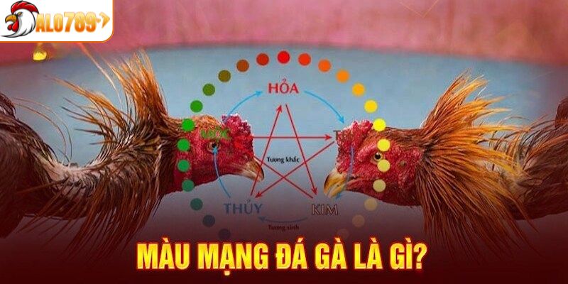 Màu mạng đá gà là gì?